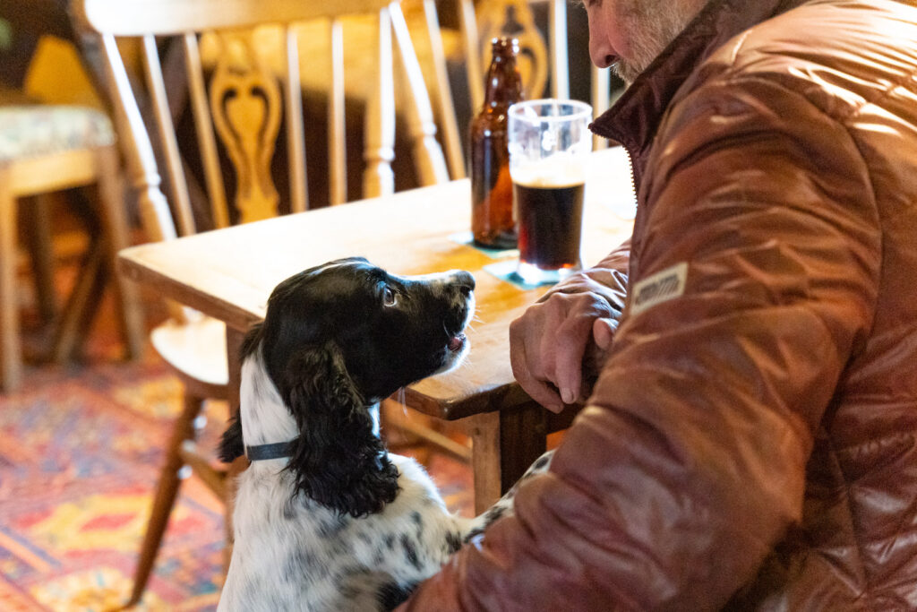 The Mytton Arms – Shropshire’s Most Dog Friendly Pub